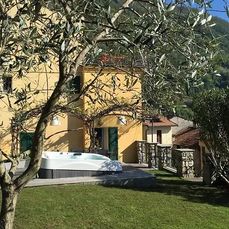 Mi Ca In